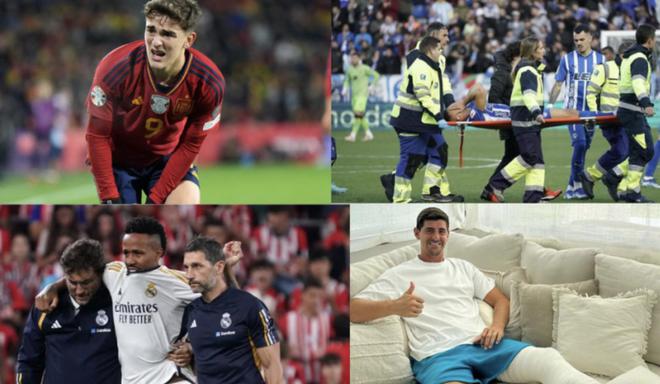 郑钦文能否 郑钦文能否